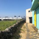 콘크리트 맨숀 이미지