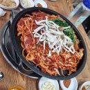 수아리아리애견 이미지