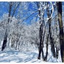 대관령PC 이미지