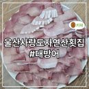 4672 | 사량도 자연산횟집 대방어 후기(울산페이 할인)