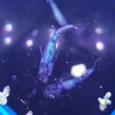 디자인SNR 이미지