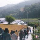 오미 농산물 이미지