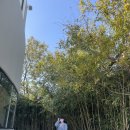 소금소금 펫살롱 이미지