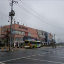 덕진-49 이미지