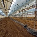 샤인하우스 가동 이미지