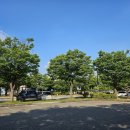 파인 관광농원 | [자유수영] 양주 연꽃빌리지 관광농원 카페 &amp; 서부권스포츠센터 자유수영 후기