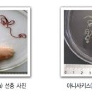 건강한미래항외과의원 이미지