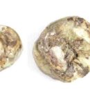 무덤의 흔적 이미지