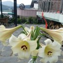 하늘다리펜션 이미지