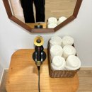 청춘한옥풀빌라 | 경주 보문단지 대형 숙소 추천 - 마당, 수영장이 있는 한옥 독채 풀빌라 &lt;힐조 보문&gt;