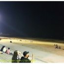 머드공주펜션 이미지