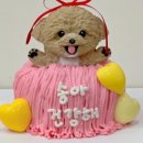 퍼스널댕댕 이미지