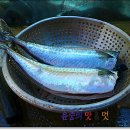 통영최고맛집 티스토리