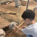제헌농장 네이버블로그