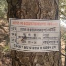 몽산포주차장 이미지