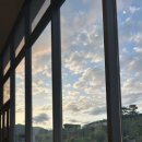 하미토미풀밭 이미지