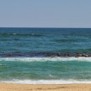 우리집한뚝배기 이미지