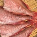 대명냉동 이미지