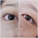 엘라인(L.Line) 이미지