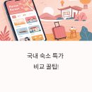 국내 숙소 특가 비교 꿀팁! 야놀자와 에어비앤비 중 어디가 더 저렴할까?