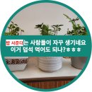 행정사 김승한 사무소 이미지