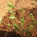 하람농장 이미지