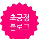 쉬즈헤어모드 | 서현역미용실 / 분당미용실 헤어살롱바램 복구클리닉 후기