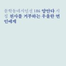 천사안경 이미지