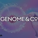 두나무컴퍼니 이미지