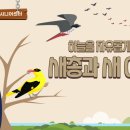 조은요양원 | [안산요양원/상록구요양원/일동요양원] 안산조은시니어센터 20250602 맞춤프로그램/백세누리안산/인지수...
