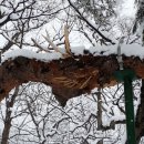 황성공원 시민운동장 이미지