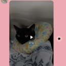 웰케어 동물병원 이미지