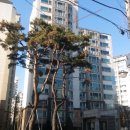 강남-105 이미지