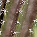 도배기능사 | 도배자격증 완벽가이드, 도배기능사 난이도·합격팁·시험후기