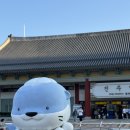 남가람 문화거리 | 진주남강유등축제 기차 셔틀버스정리 먹거리 불꽃놀이 보고온 솔직후기