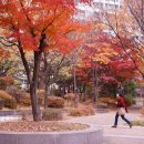 강남이편한치과의원 이미지