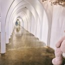 제니아빈 이미지