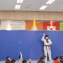 둥글이태권도 이미지