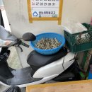 마당손칼국수 - 수성구 지산로3길 85 | 마당손칼국수