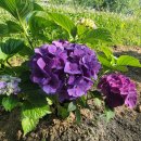 바람모아공원 이미지