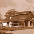 죽림3로 이미지