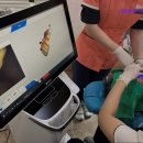 튼튼이치과의원 이미지