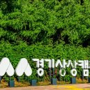 오늘은과일 이미지