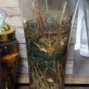 건우 농장 이미지