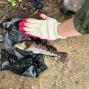 이마트24 태안안면도점 이미지