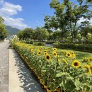 (주)해바라기 이미지
