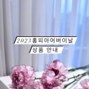 홍피아플레르