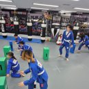 국제킥복싱 | 효성동 킥복싱, 어디서 배워볼까요?