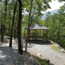 물내치기 이미지