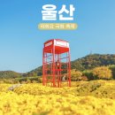 10/26(토)100선-국가정원 축제장 성끝마을 대왕암 (울산;동구)출발06시20분 이미지